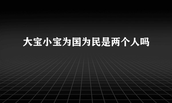 大宝小宝为国为民是两个人吗