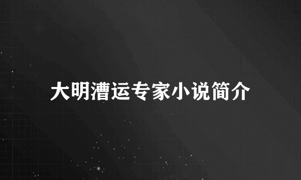 大明漕运专家小说简介
