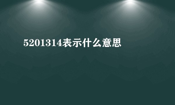 5201314表示什么意思