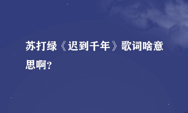 苏打绿《迟到千年》歌词啥意思啊?