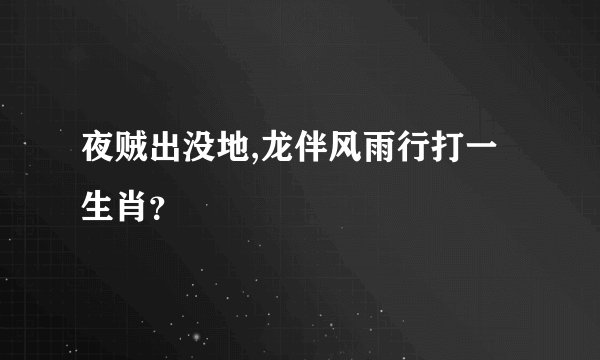 夜贼出没地,龙伴风雨行打一生肖？