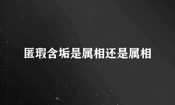 匿瑕含垢是属相还是属相