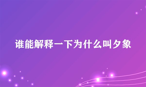 谁能解释一下为什么叫夕象