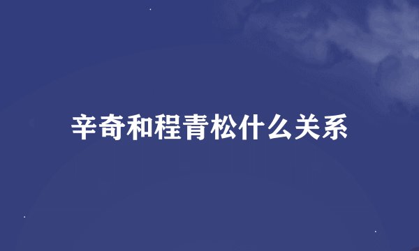 辛奇和程青松什么关系