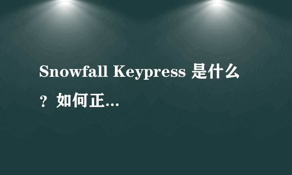 Snowfall Keypress 是什么？如何正确使用？