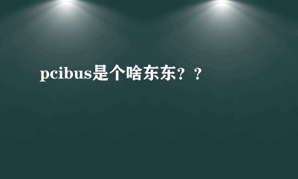 pcibus是个啥东东？？