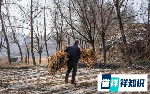 专家建议女性退休年龄改到60岁，是舍不得权利，还是放不下服务？