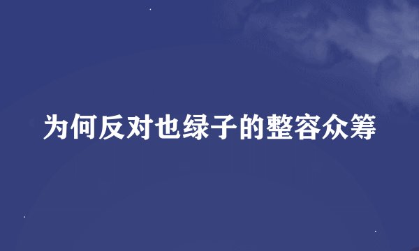 为何反对也绿子的整容众筹