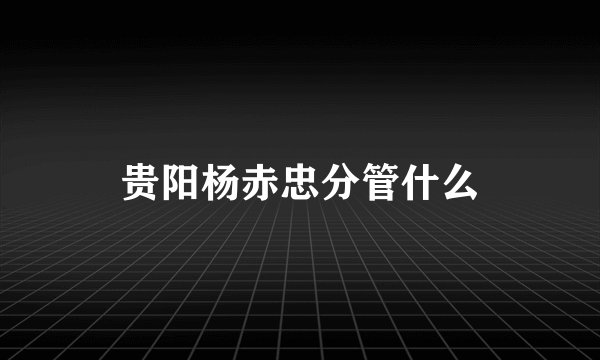 贵阳杨赤忠分管什么