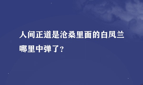 人间正道是沧桑里面的白凤兰哪里中弹了？