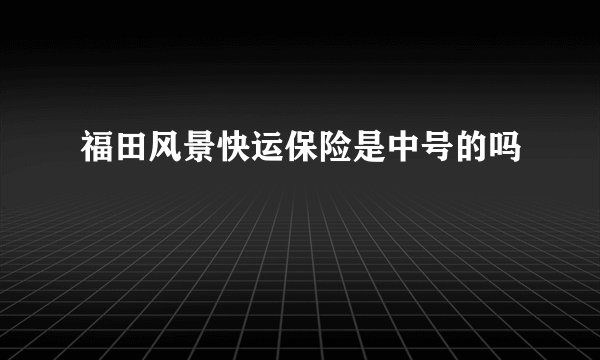 福田风景快运保险是中号的吗