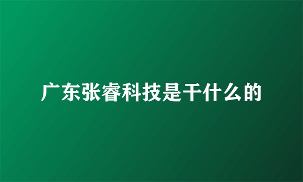 广东张睿科技是干什么的