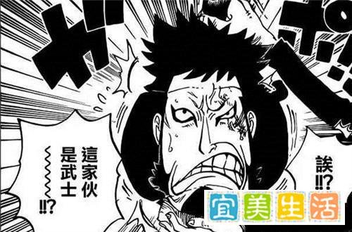 海贼王战力系统竟因锦卫门崩溃,尾田这个伏笔埋了八年!