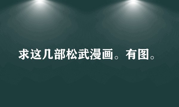 求这几部松武漫画。有图。