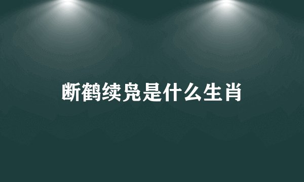 断鹤续凫是什么生肖