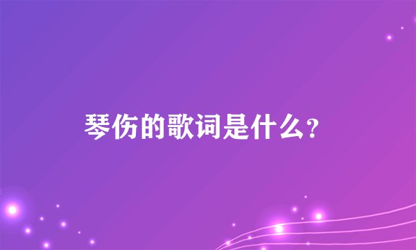 琴伤的歌词是什么？