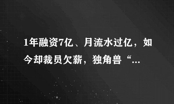 1年融资7亿、月流水过亿，如今却裁员欠薪，独角兽“爱鲜蜂”怎么了？