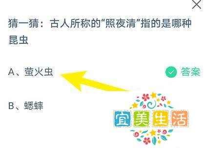 蚂蚁庄园:古人所称的“照夜清