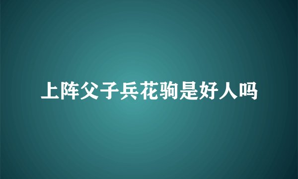 上阵父子兵花驹是好人吗
