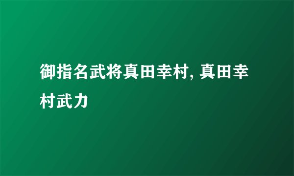 御指名武将真田幸村, 真田幸村武力