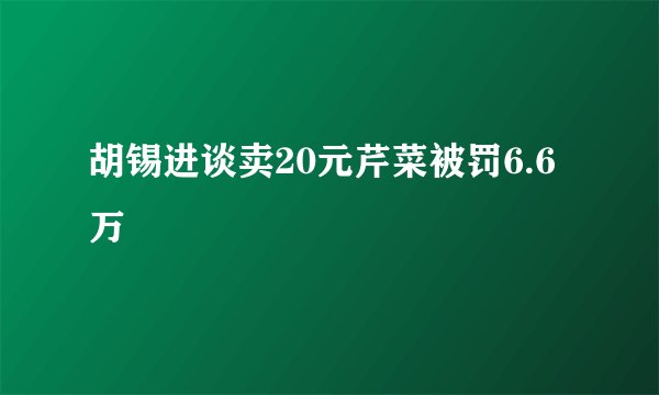 胡锡进谈卖20元芹菜被罚6.6万