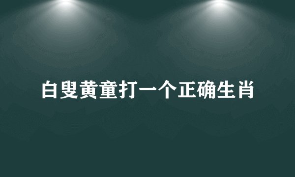 白叟黄童打一个正确生肖