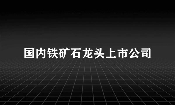 国内铁矿石龙头上市公司