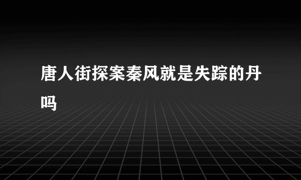唐人街探案秦风就是失踪的丹吗