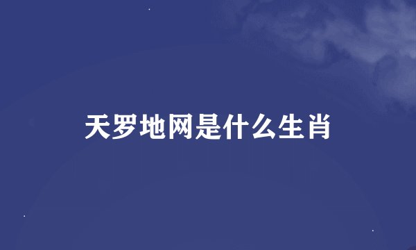 天罗地网是什么生肖