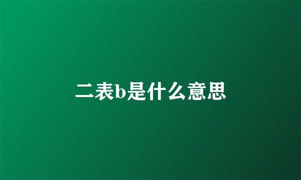 二表b是什么意思