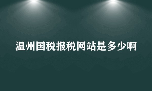 温州国税报税网站是多少啊