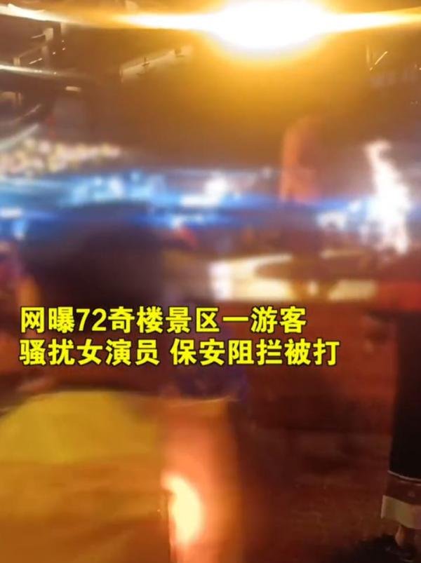 太嚣张！张家界景区一游客骚扰女演员还打保安