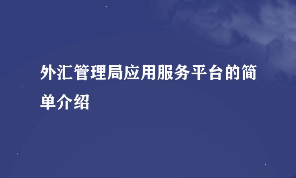 外汇管理局应用服务平台的简单介绍