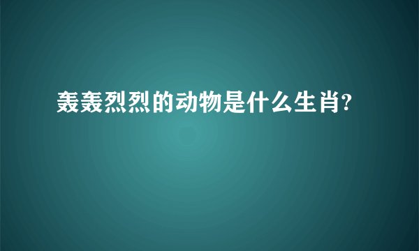 轰轰烈烈的动物是什么生肖?