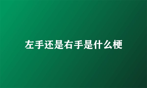 左手还是右手是什么梗