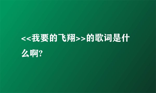 <<我要的飞翔>>的歌词是什么啊?