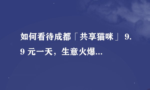 如何看待成都「共享猫咪」 9.9 元一天，生意火爆，十多只猫已全部租完？