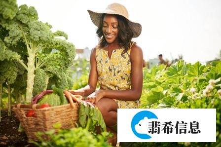 在美国的农民和农场主一年可以赚多少钱呢？