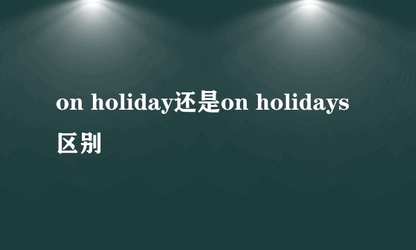 on holiday还是on holidays区别