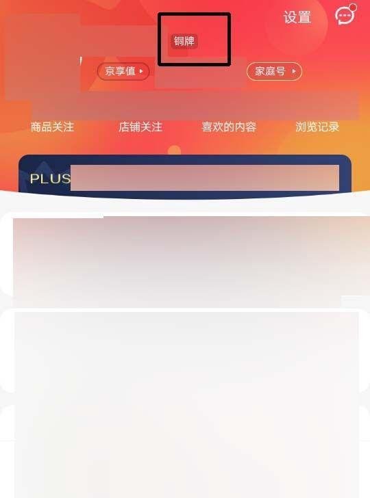京东铜牌怎么升级银牌