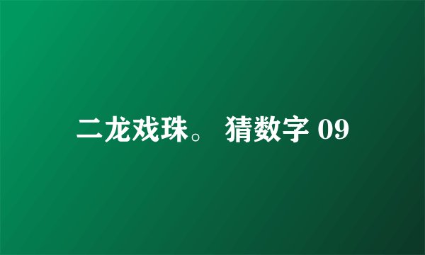 二龙戏珠。 猜数字 09