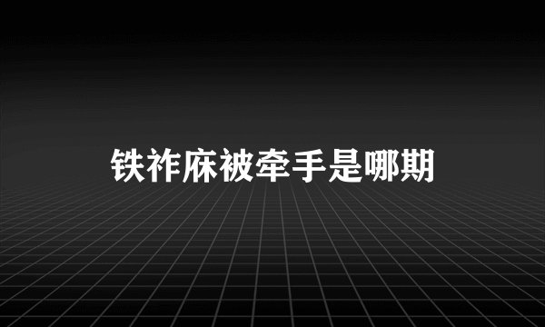 铁祚庥被牵手是哪期