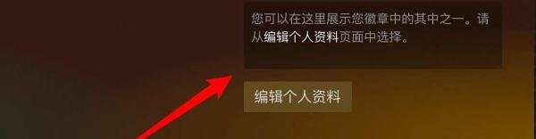 steam库存为私密状态