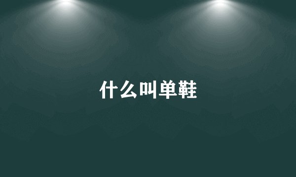 什么叫单鞋