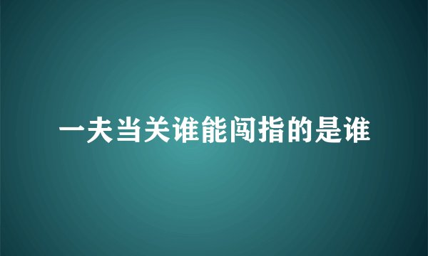 一夫当关谁能闯指的是谁