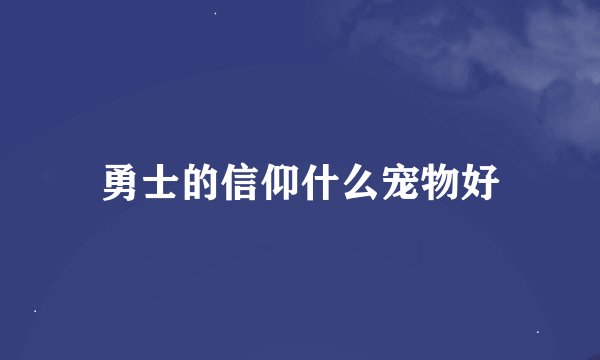 勇士的信仰什么宠物好