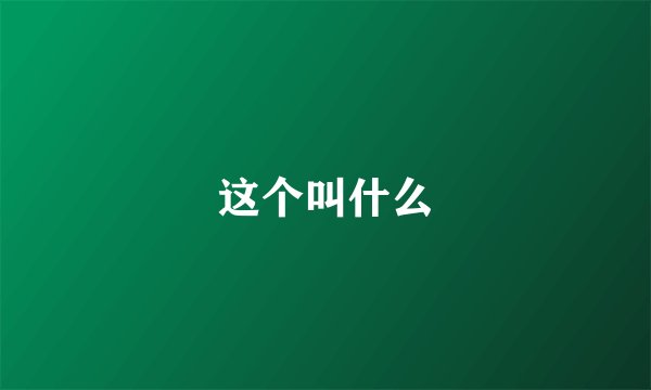 这个叫什么