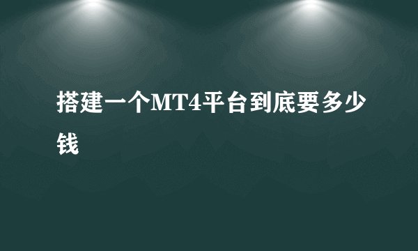 搭建一个MT4平台到底要多少钱