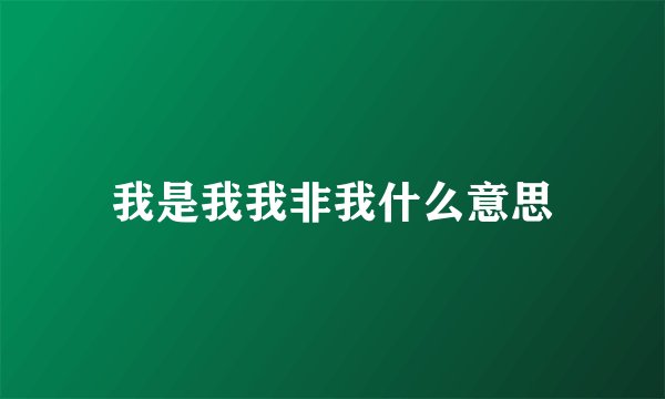 我是我我非我什么意思