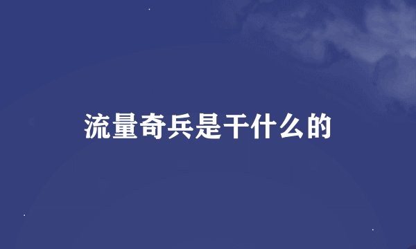 流量奇兵是干什么的